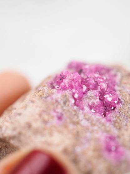 Sparkly Pink Cobalto Calcite Specimen ca. xx cm [xx]- aus Kongo