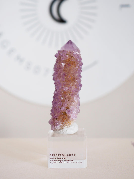 Kaktus Quarz . Spirit Quartz - aus Boekenhouthoek. Mpumalanga. Südafrika HIGH QUALITY