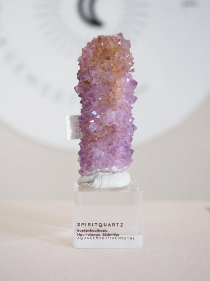 Kaktus Quarz . Spirit Quartz - aus Boekenhouthoek. Mpumalanga. Südafrika HIGH QUALITY