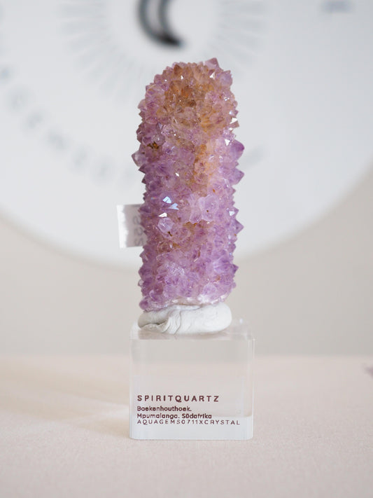 Kaktus Quarz . Spirit Quartz - aus Boekenhouthoek. Mpumalanga. Südafrika HIGH QUALITY