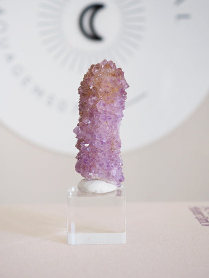 Kaktus Quarz . Spirit Quartz - aus Boekenhouthoek. Mpumalanga. Südafrika HIGH QUALITY