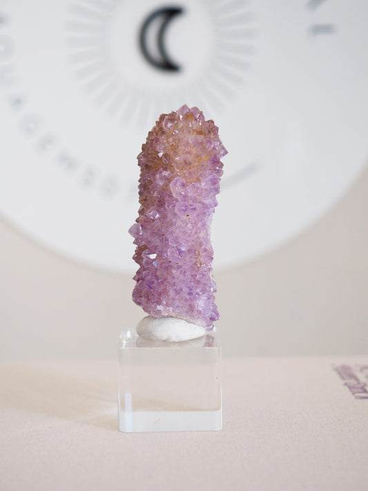 Kaktus Quarz . Spirit Quartz - aus Boekenhouthoek. Mpumalanga. Südafrika HIGH QUALITY