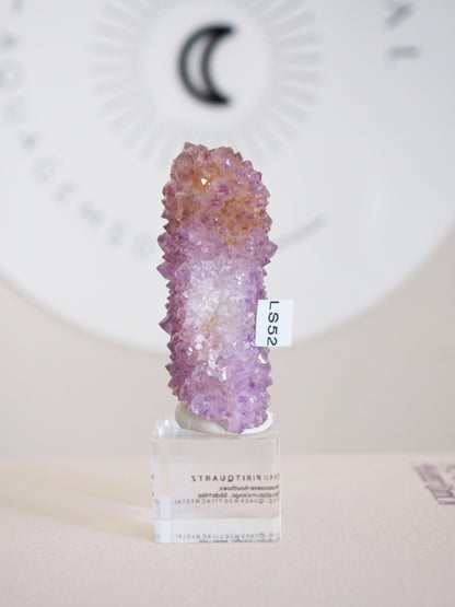 Kaktus Quarz . Spirit Quartz - aus Boekenhouthoek. Mpumalanga. Südafrika HIGH QUALITY