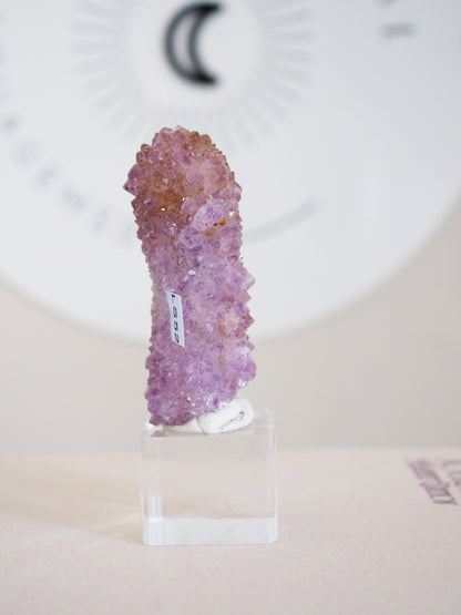 Kaktus Quarz . Spirit Quartz - aus Boekenhouthoek. Mpumalanga. Südafrika HIGH QUALITY