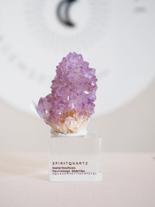 Kaktus Quarz . Spirit Quartz - aus Boekenhouthoek. Mpumalanga. Südafrika HIGH QUALITY