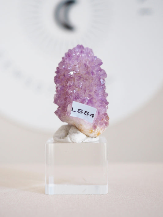 Kaktus Quarz . Spirit Quartz - aus Boekenhouthoek. Mpumalanga. Südafrika HIGH QUALITY