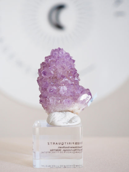 Kaktus Quarz . Spirit Quartz - aus Boekenhouthoek. Mpumalanga. Südafrika HIGH QUALITY