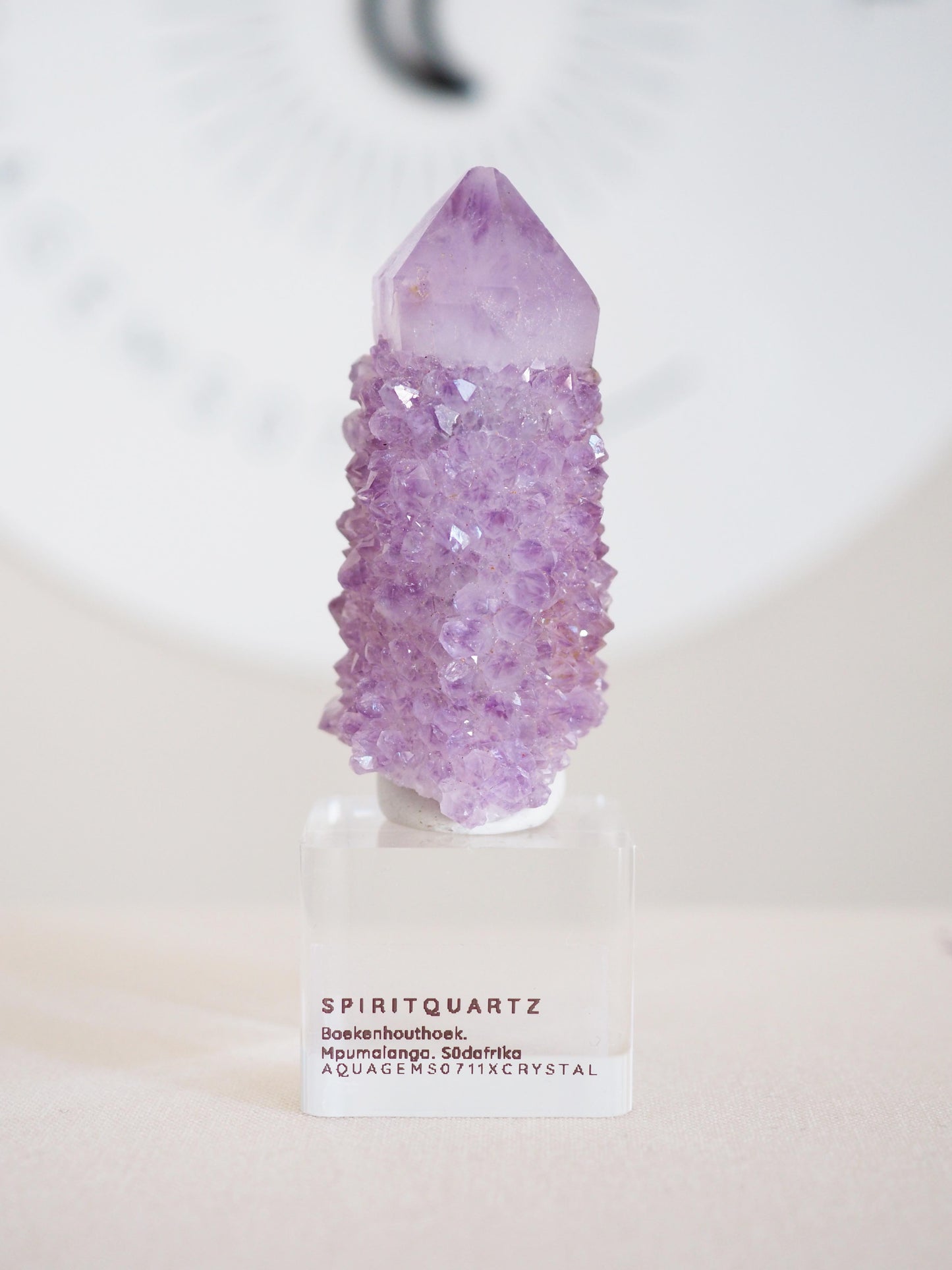 Kaktus Quarz . Spirit Quartz - aus Boekenhouthoek. Mpumalanga. Südafrika HIGH QUALITY