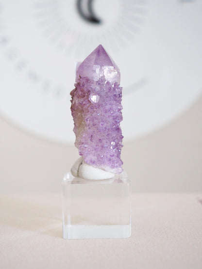 Kaktus Quarz . Spirit Quartz - aus Boekenhouthoek. Mpumalanga. Südafrika HIGH QUALITY