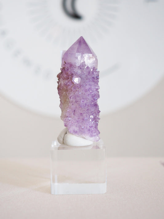 Kaktus Quarz . Spirit Quartz - aus Boekenhouthoek. Mpumalanga. Südafrika HIGH QUALITY