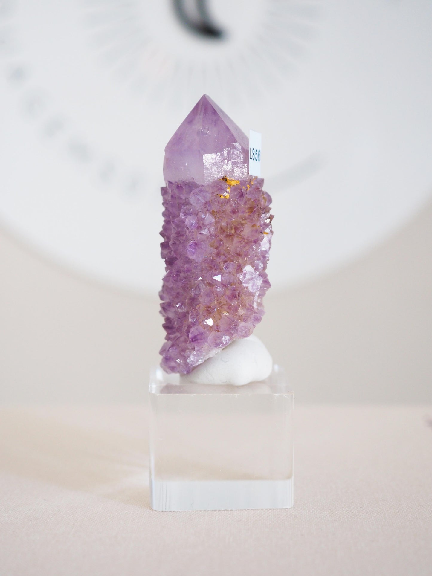 Kaktus Quarz . Spirit Quartz - aus Boekenhouthoek. Mpumalanga. Südafrika HIGH QUALITY