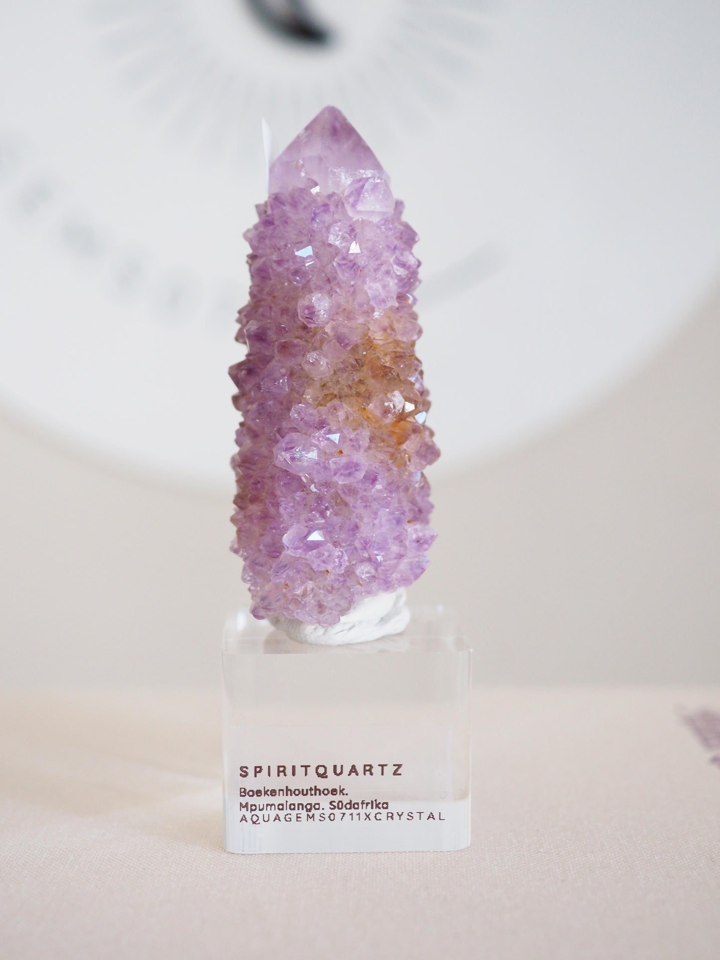 Kaktus Quarz . Spirit Quartz - aus Boekenhouthoek. Mpumalanga. Südafrika HIGH QUALITY