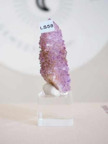 Kaktus Quarz . Spirit Quartz - aus Boekenhouthoek. Mpumalanga. Südafrika HIGH QUALITY