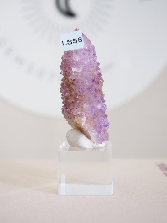 Kaktus Quarz . Spirit Quartz - aus Boekenhouthoek. Mpumalanga. Südafrika HIGH QUALITY