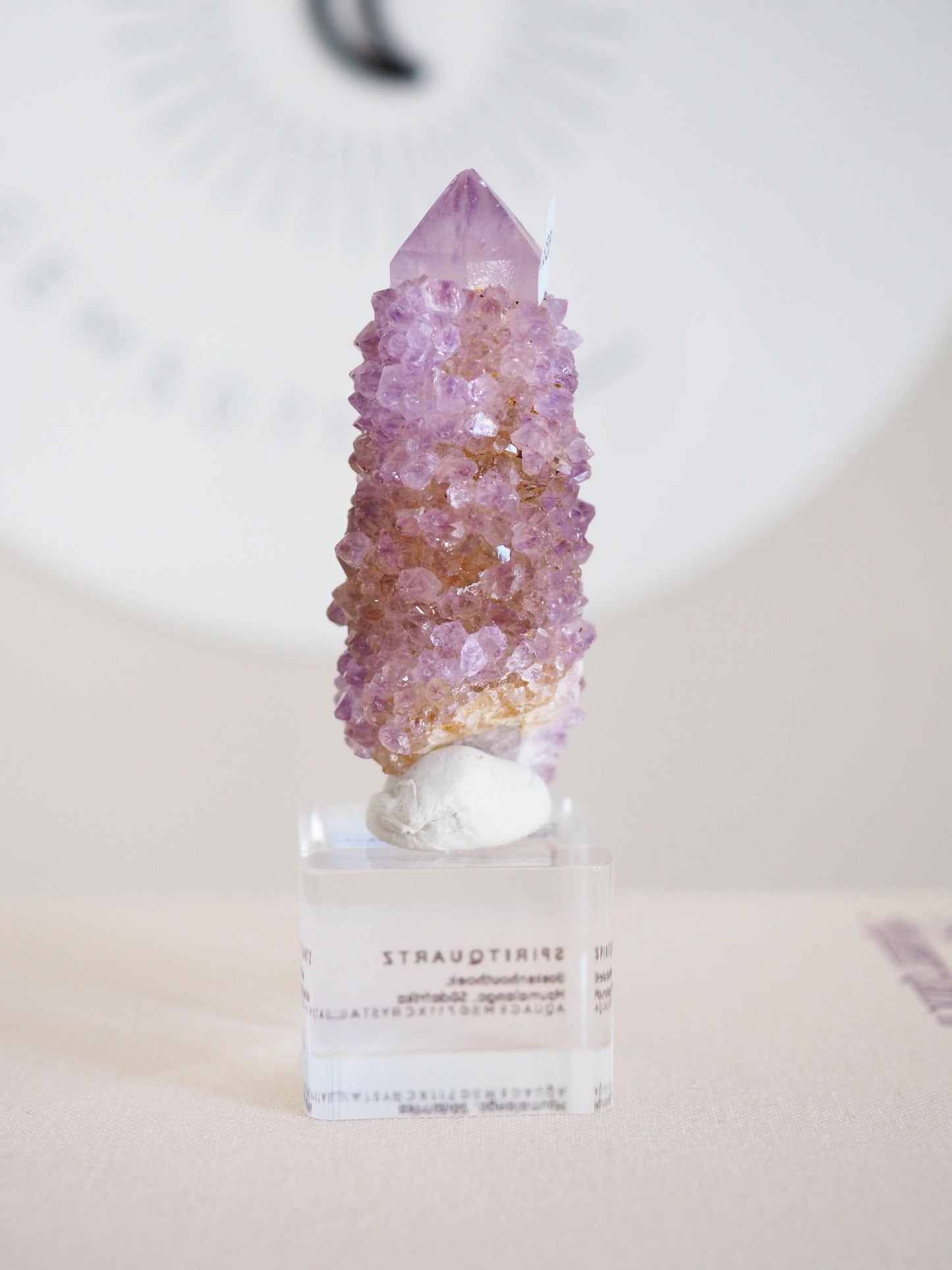 Kaktus Quarz . Spirit Quartz - aus Boekenhouthoek. Mpumalanga. Südafrika HIGH QUALITY