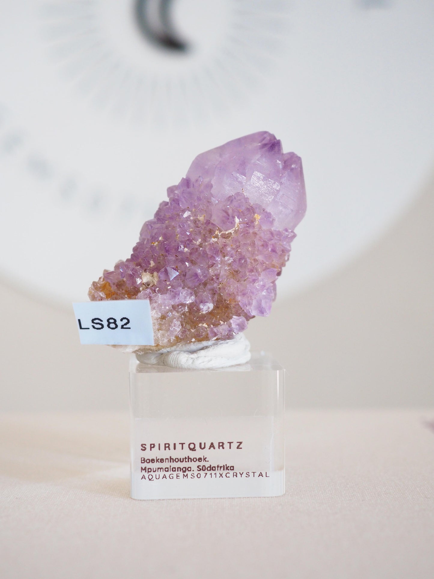 Kaktus Quarz . Spirit Quartz - aus Boekenhouthoek. Mpumalanga. Südafrika HIGH QUALITY