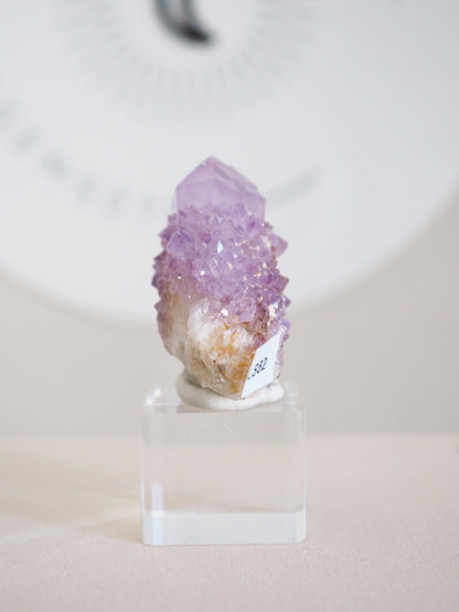 Kaktus Quarz . Spirit Quartz - aus Boekenhouthoek. Mpumalanga. Südafrika HIGH QUALITY