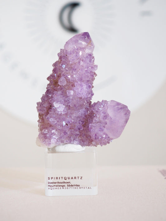 Kaktus Quarz . Spirit Quartz - aus Boekenhouthoek. Mpumalanga. Südafrika HIGH QUALITY