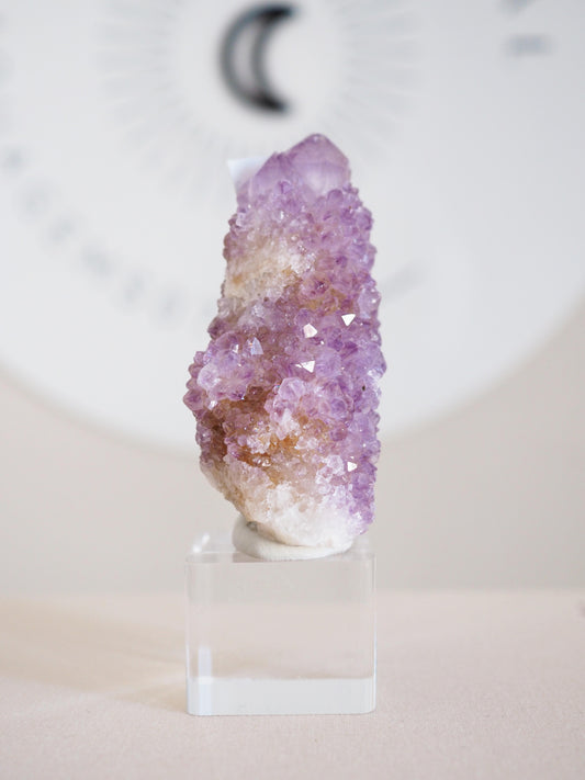 Kaktus Quarz . Spirit Quartz - aus Boekenhouthoek. Mpumalanga. Südafrika HIGH QUALITY