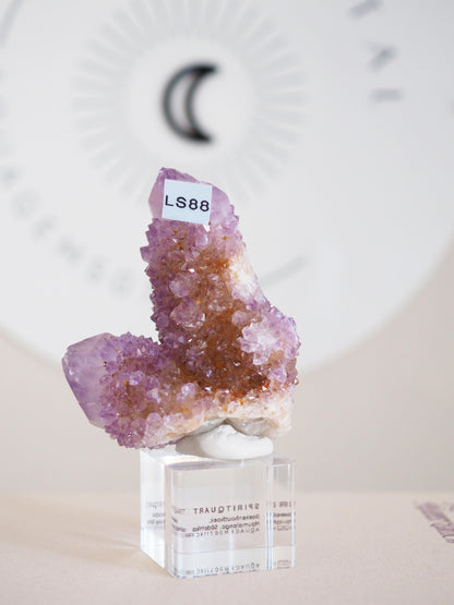 Kaktus Quarz . Spirit Quartz - aus Boekenhouthoek. Mpumalanga. Südafrika HIGH QUALITY