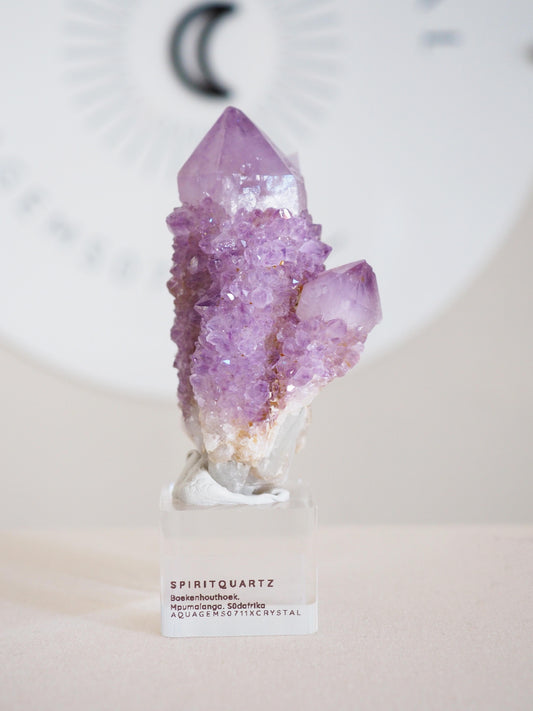 Kaktus Quarz . Spirit Quartz - aus Boekenhouthoek. Mpumalanga. Südafrika HIGH QUALITY