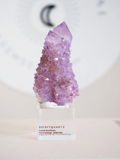 Kaktus Quarz . Spirit Quartz - aus Boekenhouthoek. Mpumalanga. Südafrika HIGH QUALITY