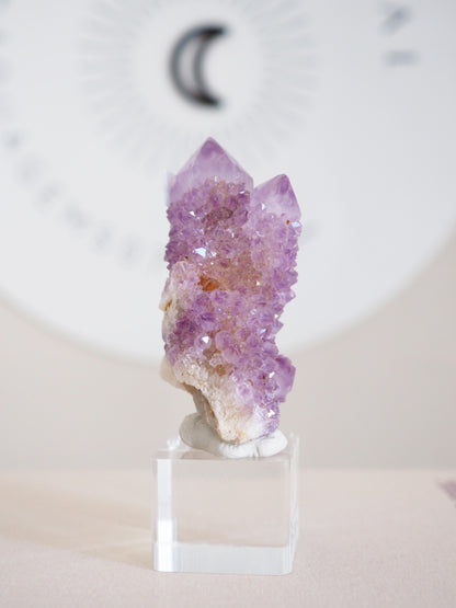 Kaktus Quarz . Spirit Quartz - aus Boekenhouthoek. Mpumalanga. Südafrika HIGH QUALITY