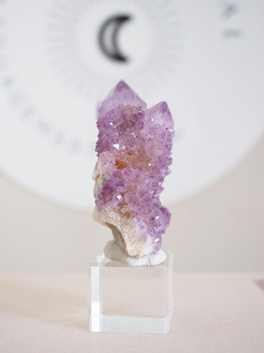 Kaktus Quarz . Spirit Quartz - aus Boekenhouthoek. Mpumalanga. Südafrika HIGH QUALITY