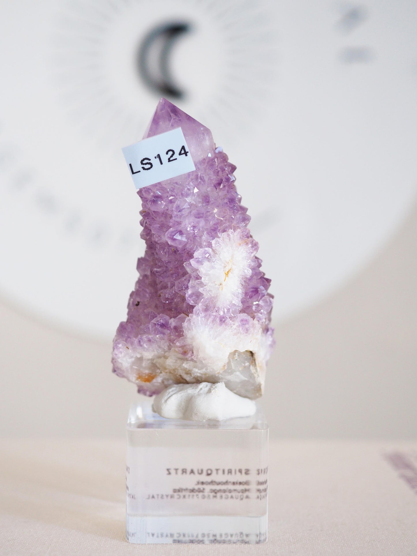 Kaktus Quarz . Spirit Quartz - aus Boekenhouthoek. Mpumalanga. Südafrika HIGH QUALITY