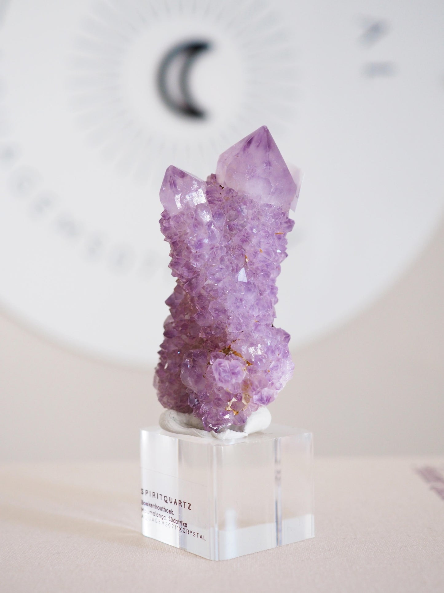 Kaktus Quarz . Spirit Quartz - aus Boekenhouthoek. Mpumalanga. Südafrika HIGH QUALITY