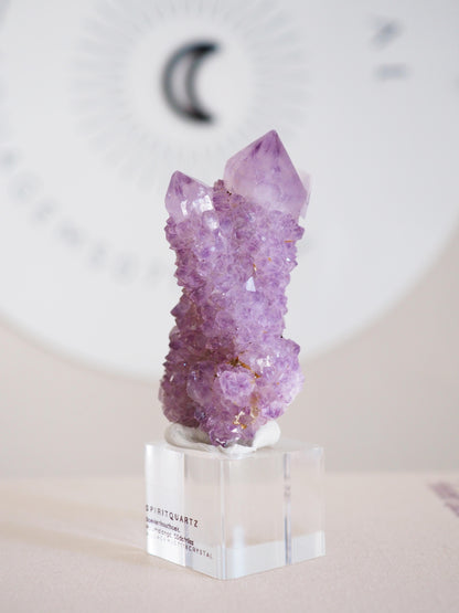 Kaktus Quarz . Spirit Quartz - aus Boekenhouthoek. Mpumalanga. Südafrika HIGH QUALITY