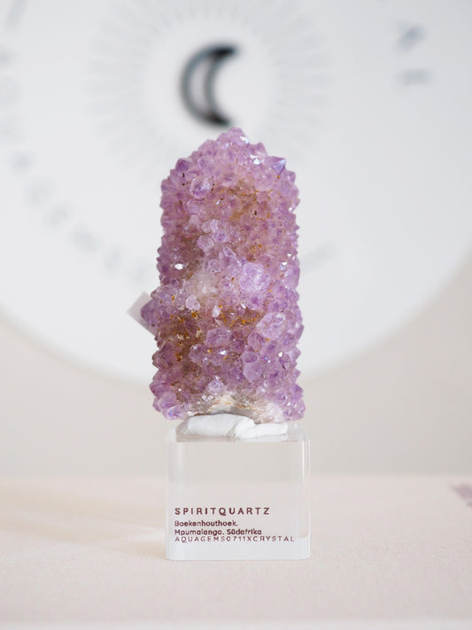 Kaktus Quarz . Spirit Quartz - aus Boekenhouthoek. Mpumalanga. Südafrika HIGH QUALITY