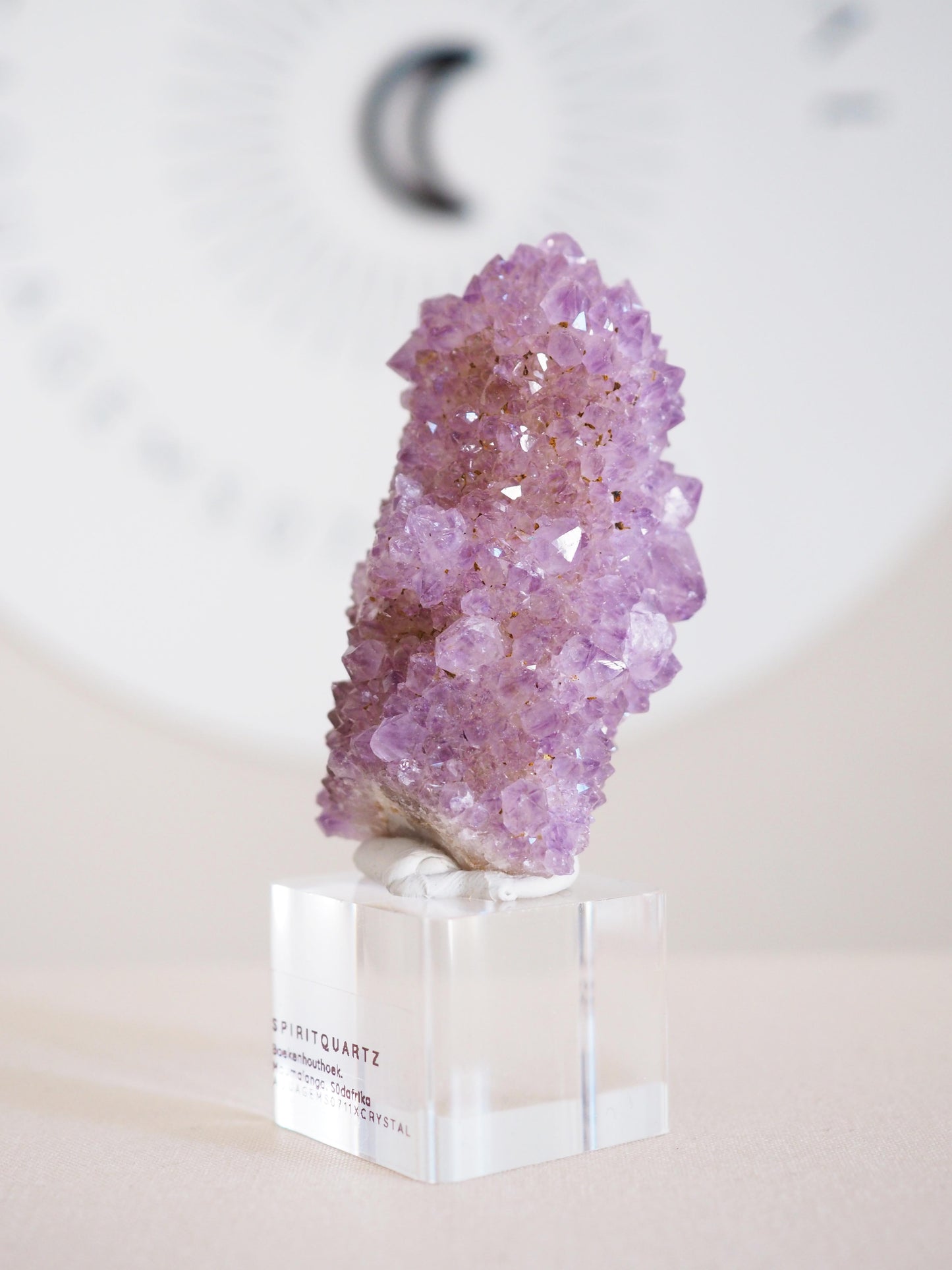 Kaktus Quarz . Spirit Quartz - aus Boekenhouthoek. Mpumalanga. Südafrika HIGH QUALITY