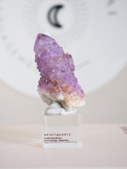 Kaktus Quarz . Spirit Quartz - aus Boekenhouthoek. Mpumalanga. Südafrika HIGH QUALITY