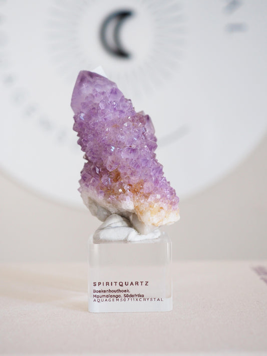 Kaktus Quarz . Spirit Quartz - aus Boekenhouthoek. Mpumalanga. Südafrika HIGH QUALITY