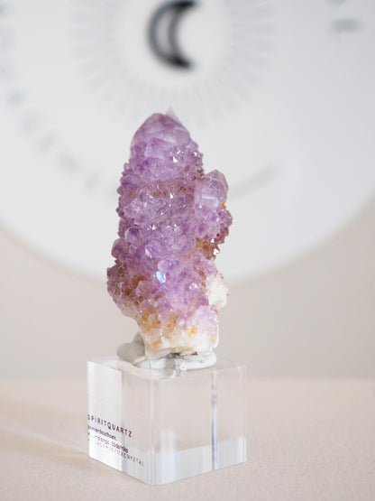 Kaktus Quarz . Spirit Quartz - aus Boekenhouthoek. Mpumalanga. Südafrika HIGH QUALITY