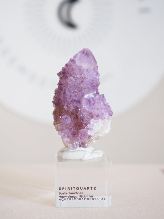 Kaktus Quarz . Spirit Quartz - aus Boekenhouthoek. Mpumalanga. Südafrika HIGH QUALITY