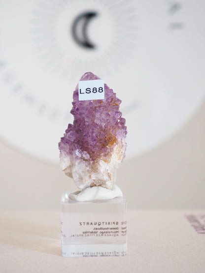 Kaktus Quarz . Spirit Quartz - aus Boekenhouthoek. Mpumalanga. Südafrika HIGH QUALITY