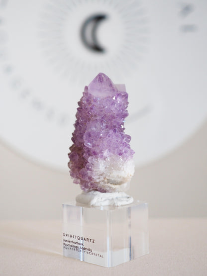 Kaktus Quarz . Spirit Quartz - aus Boekenhouthoek. Mpumalanga. Südafrika HIGH QUALITY