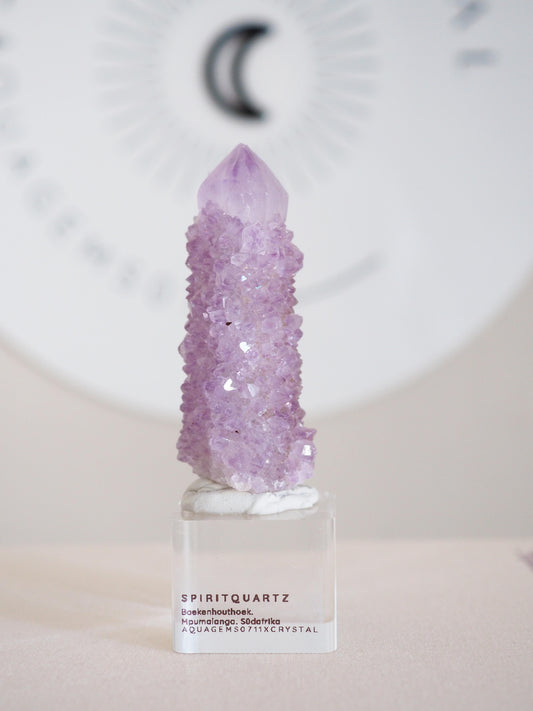 Kaktus Quarz . Spirit Quartz - aus Boekenhouthoek. Mpumalanga. Südafrika HIGH QUALITY