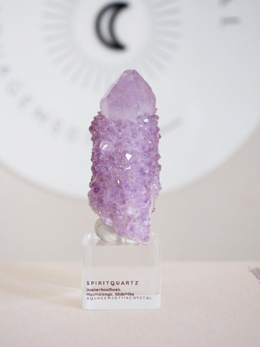 Kaktus Quarz . Spirit Quartz - aus Boekenhouthoek. Mpumalanga. Südafrika HIGH QUALITY