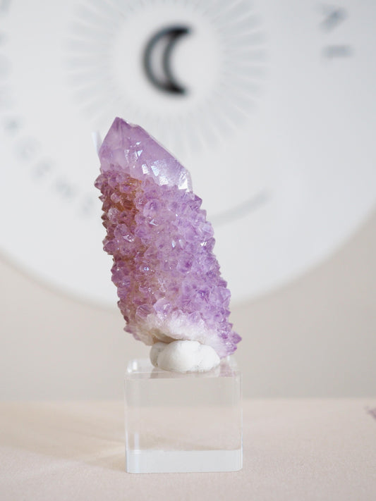 Kaktus Quarz . Spirit Quartz - aus Boekenhouthoek. Mpumalanga. Südafrika HIGH QUALITY