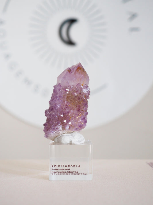 Kaktus Quarz . Spirit Quartz - aus Boekenhouthoek. Mpumalanga. Südafrika HIGH QUALITY