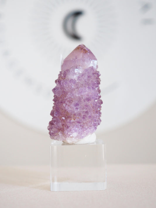 Kaktus Quarz . Spirit Quartz - aus Boekenhouthoek. Mpumalanga. Südafrika HIGH QUALITY