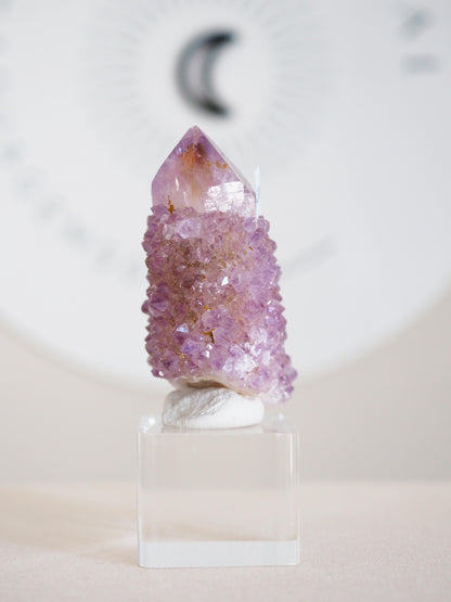 Kaktus Quarz . Spirit Quartz - aus Boekenhouthoek. Mpumalanga. Südafrika HIGH QUALITY