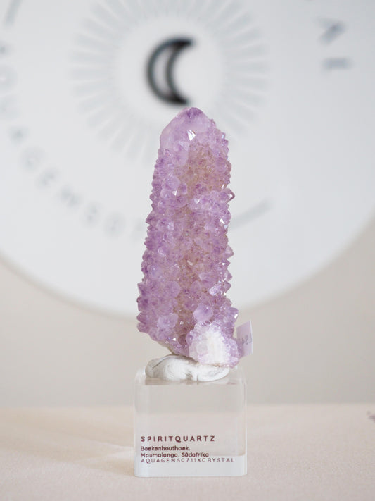 Kaktus Quarz . Spirit Quartz - aus Boekenhouthoek. Mpumalanga. Südafrika HIGH QUALITY