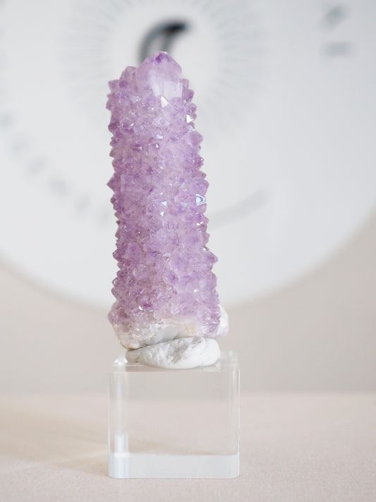 Kaktus Quarz . Spirit Quartz - aus Boekenhouthoek. Mpumalanga. Südafrika HIGH QUALITY