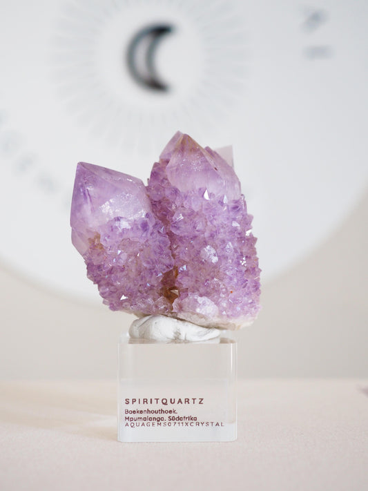 Kaktus Quarz . Spirit Quartz - aus Boekenhouthoek. Mpumalanga. Südafrika HIGH QUALITY