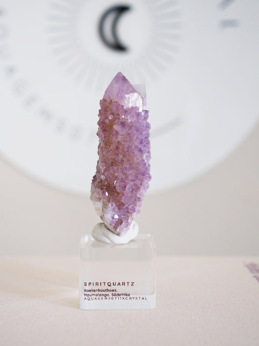 Kaktus Quarz . Spirit Quartz - aus Boekenhouthoek. Mpumalanga. Südafrika HIGH QUALITY