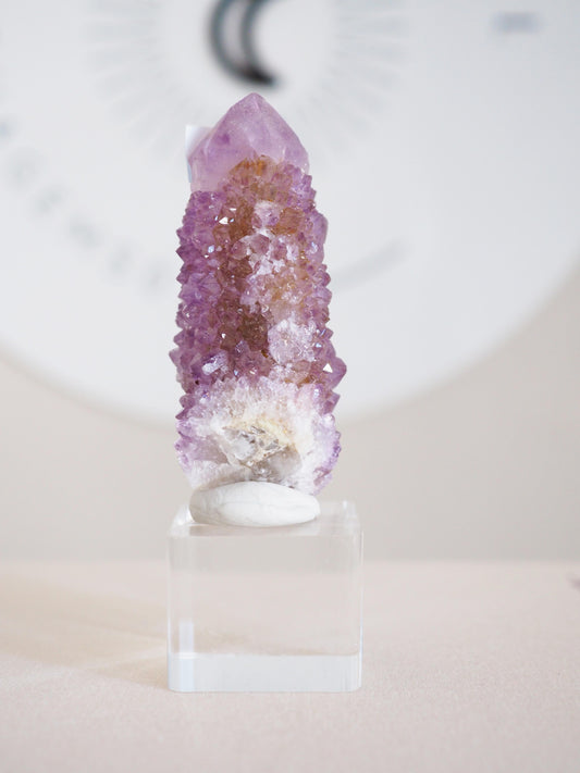 Kaktus Quarz . Spirit Quartz - aus Boekenhouthoek. Mpumalanga. Südafrika HIGH QUALITY